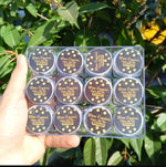 Original SHILAJIT (20 Gram)