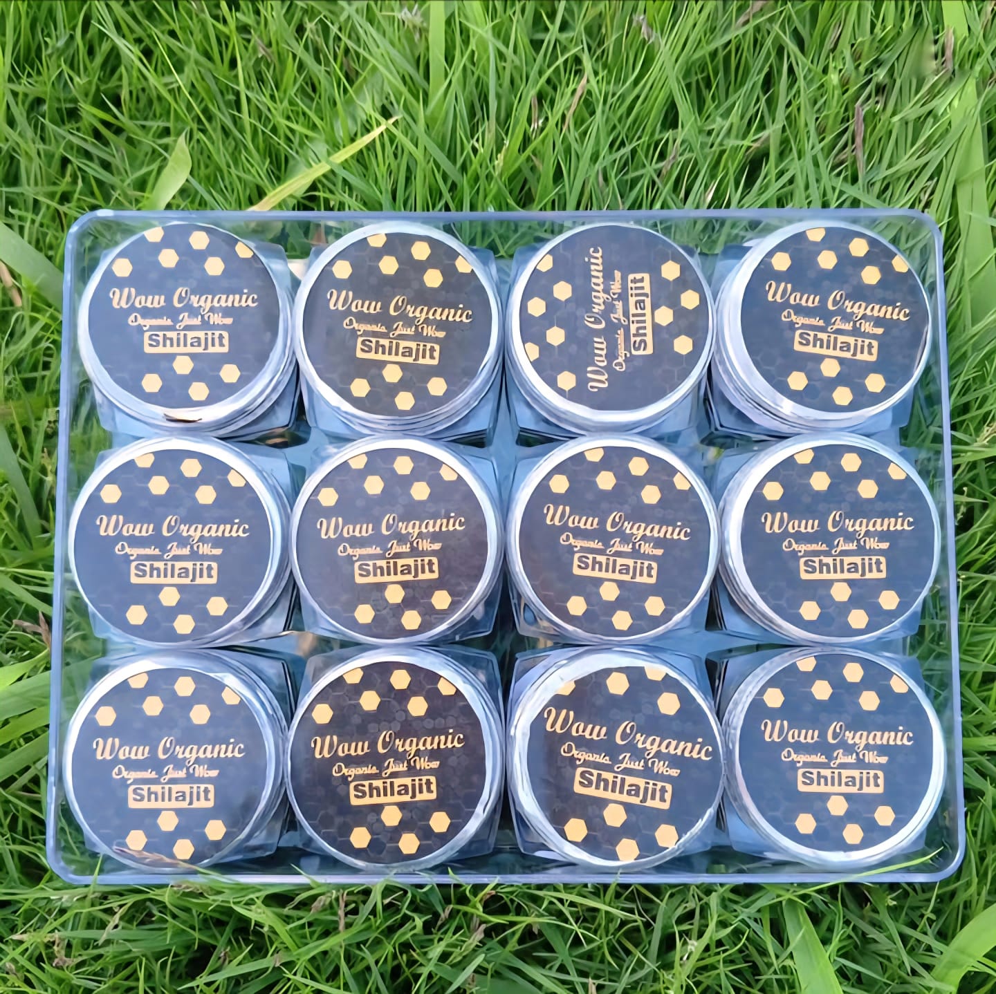 Original SHILAJIT (20 Gram)