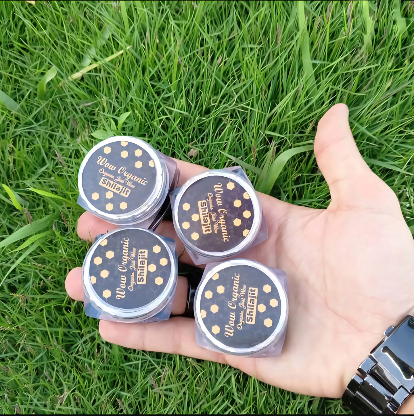 Original SHILAJIT (20 Gram)