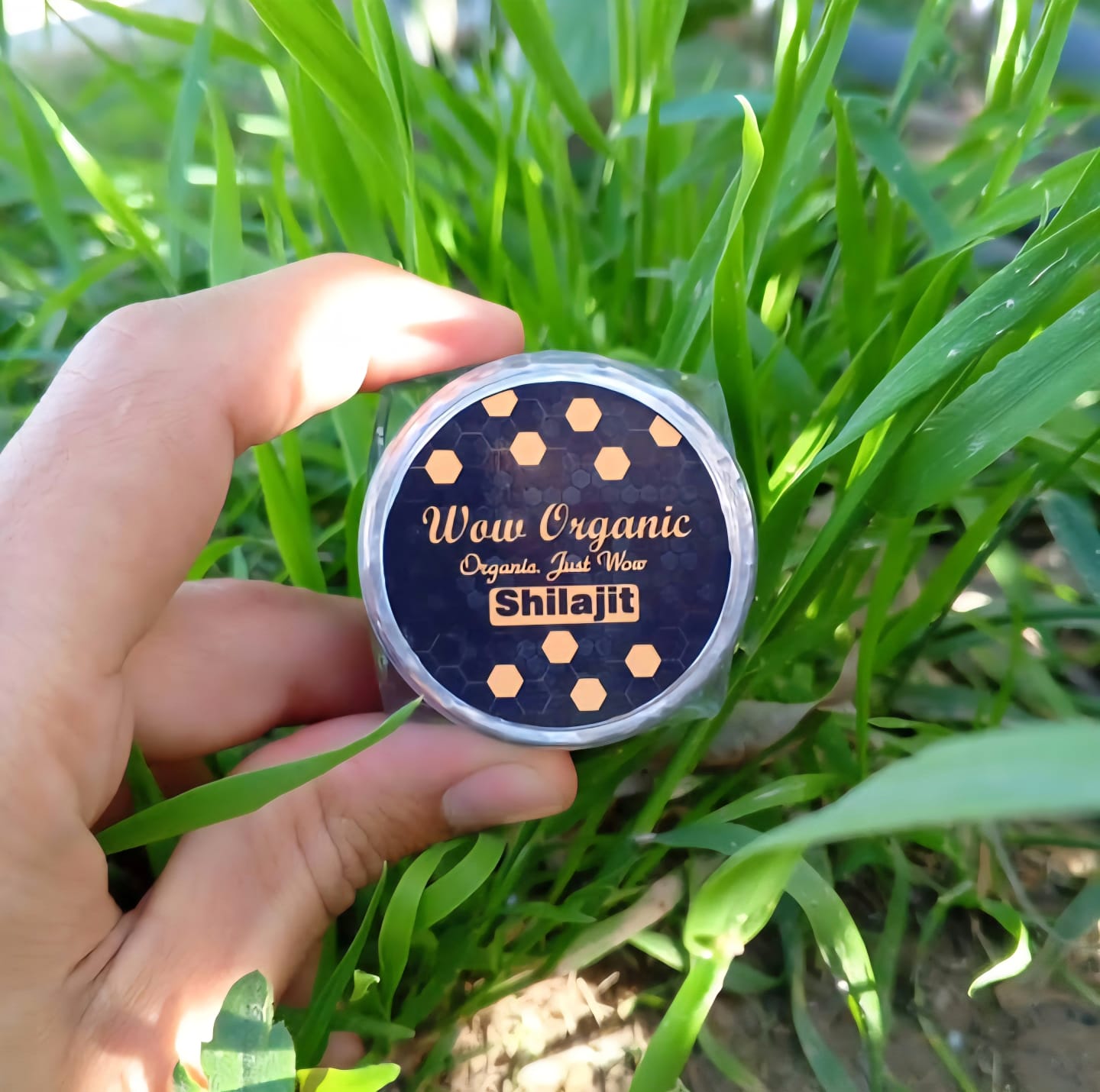 Original SHILAJIT (20 Gram)